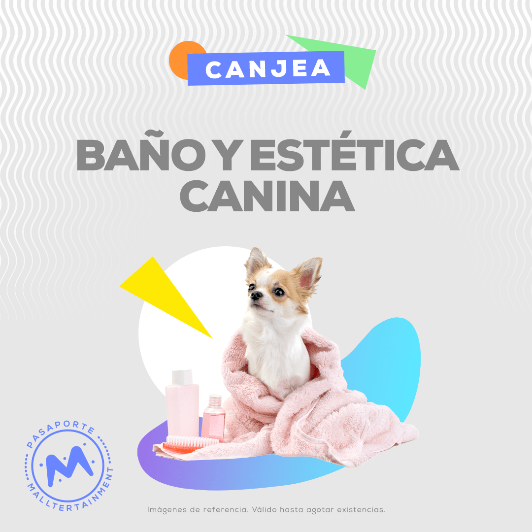 Canjea 300 mallpoints y obtén un un servicio de baño y estética canina.